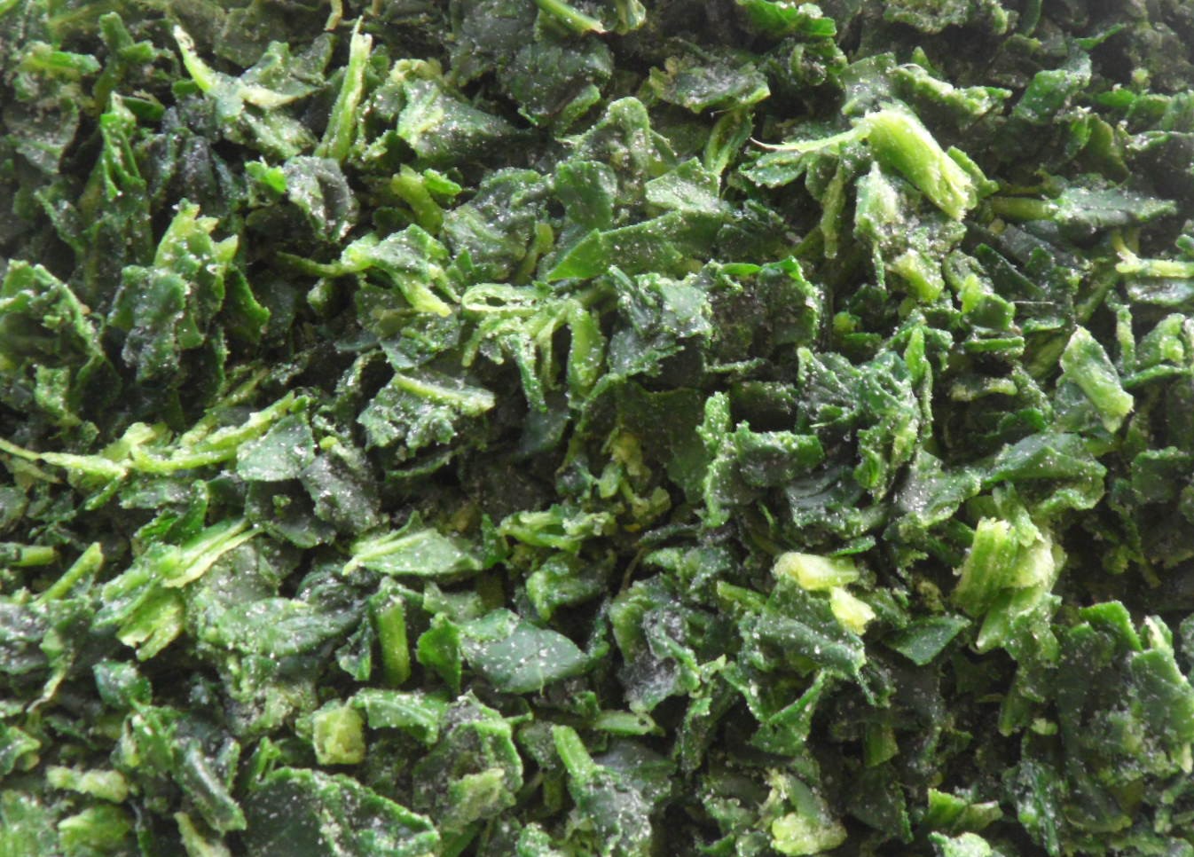 spinach chopped (2).JPG