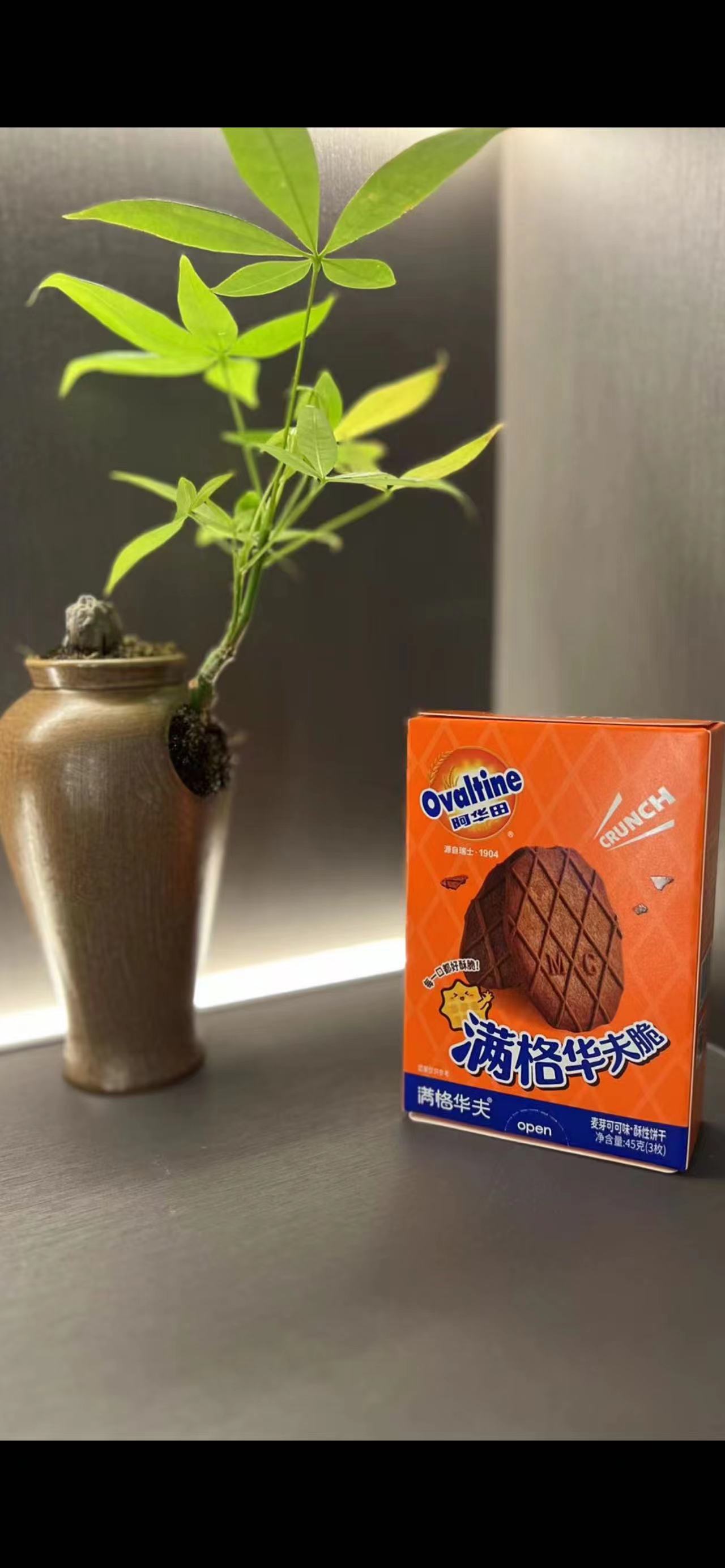 阿華田-滿格華夫脆45g