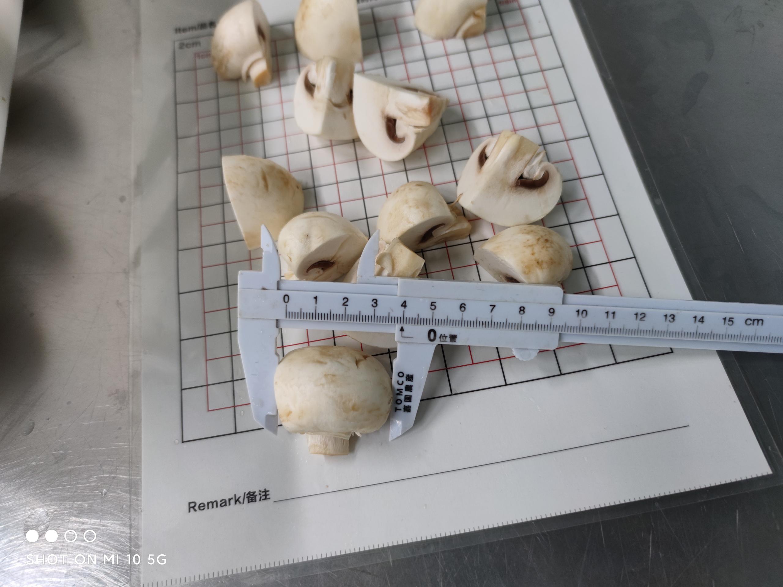 Mushroom, quater cut (1).jpg