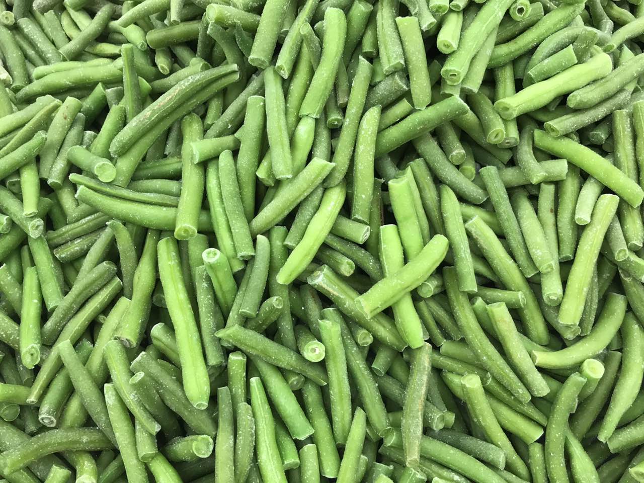 Green bean-cut- 3-5cm.jpg
