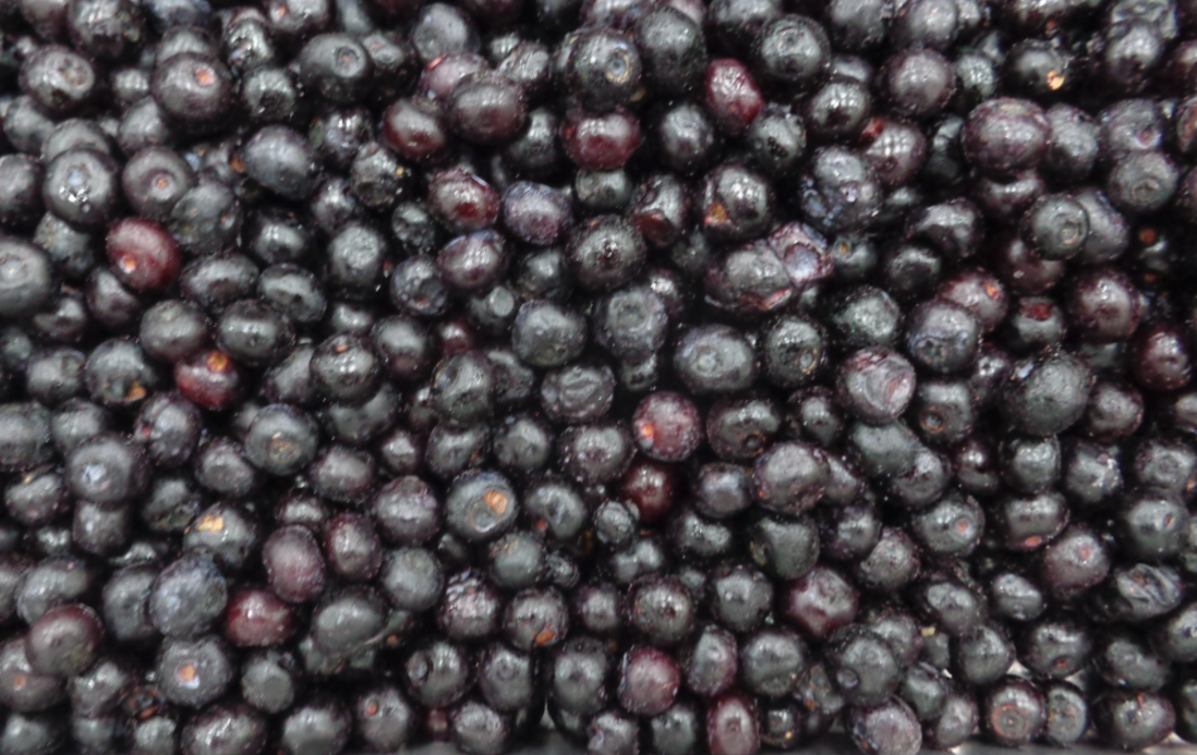 速冻蓝莓