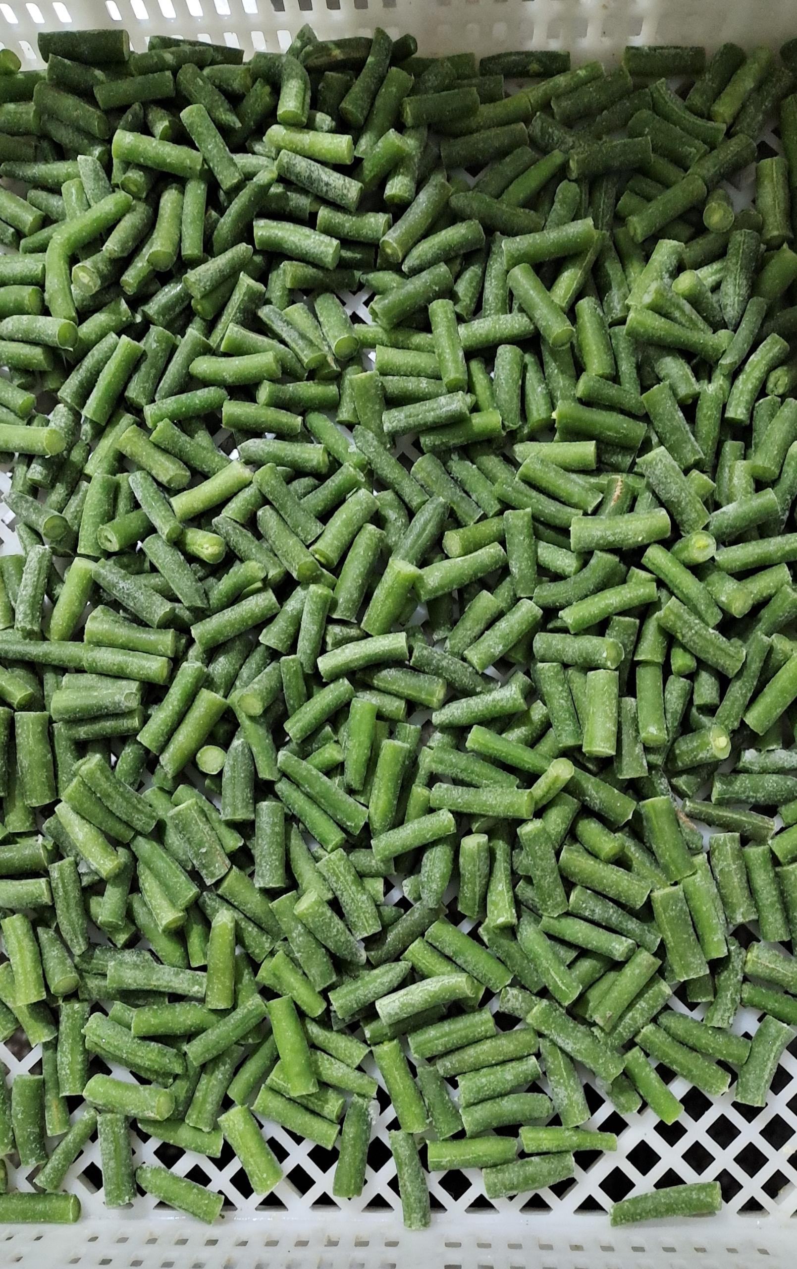 Green Bean cut-1inch-25mm (2).jpg