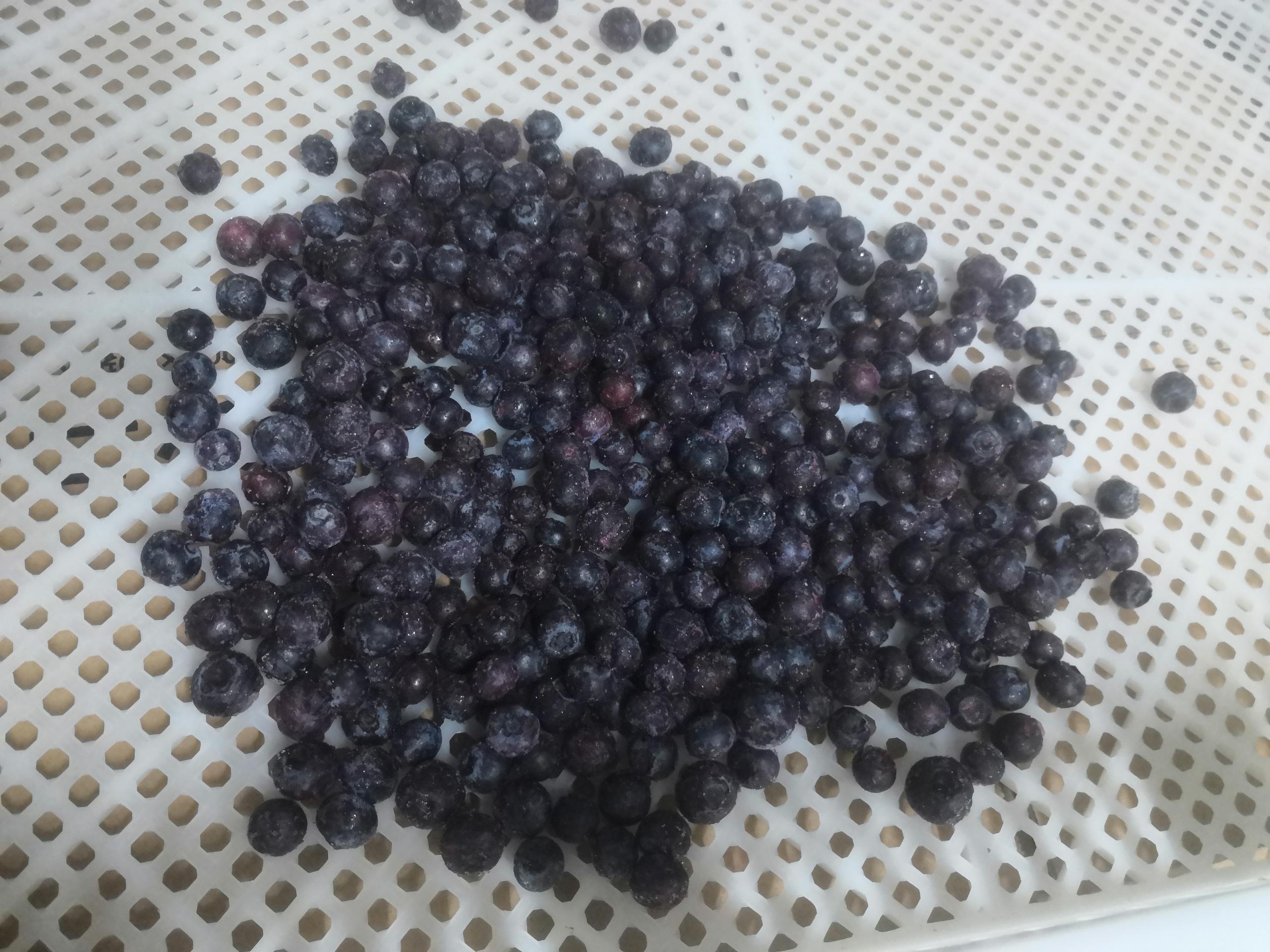 blueberries.jpg