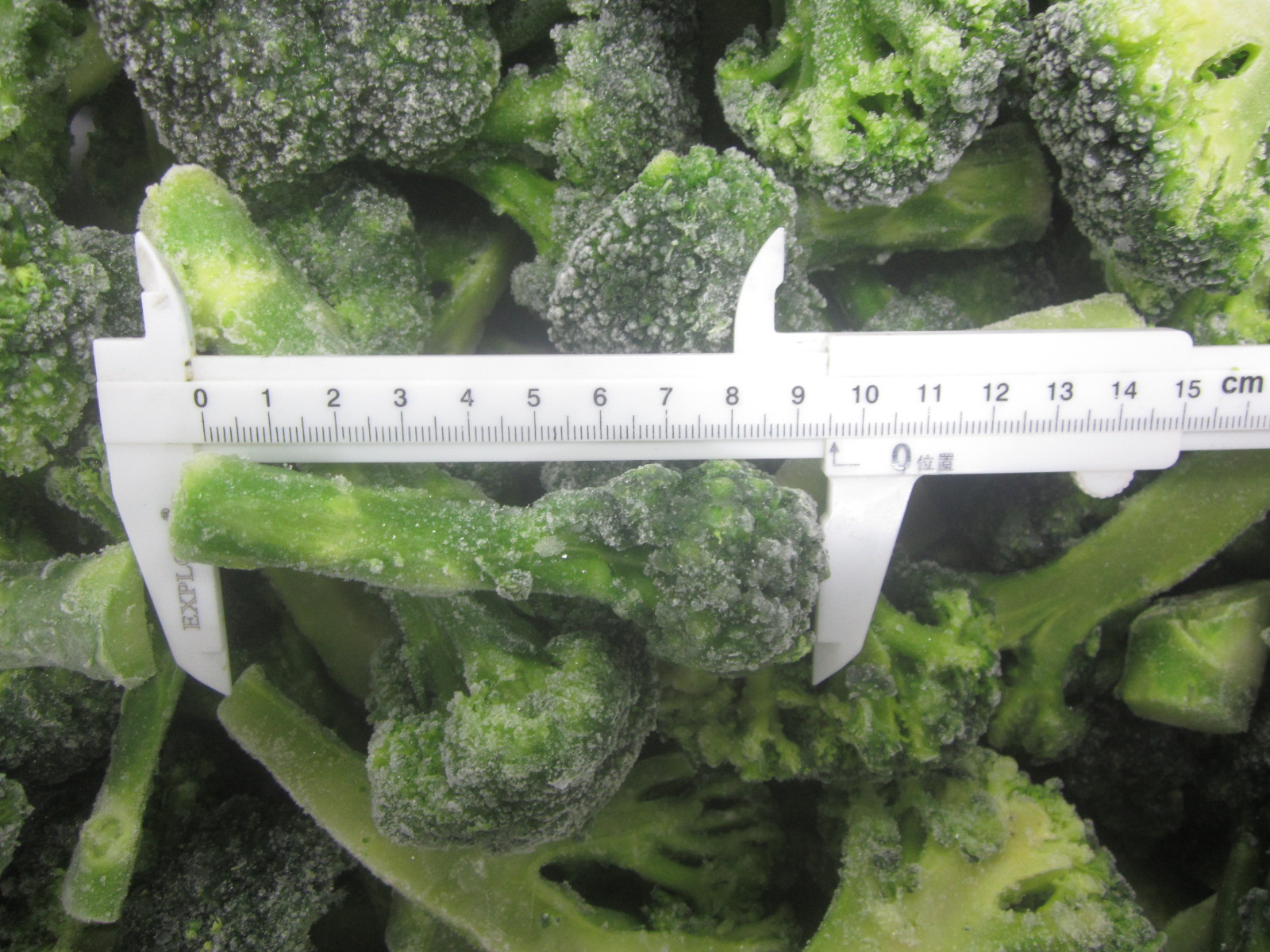 Broccoli  Spears- IQF (1).jpg