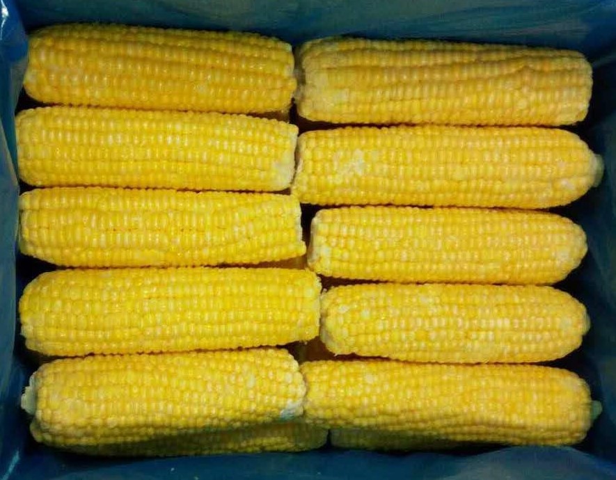 corn on cob1.JPG