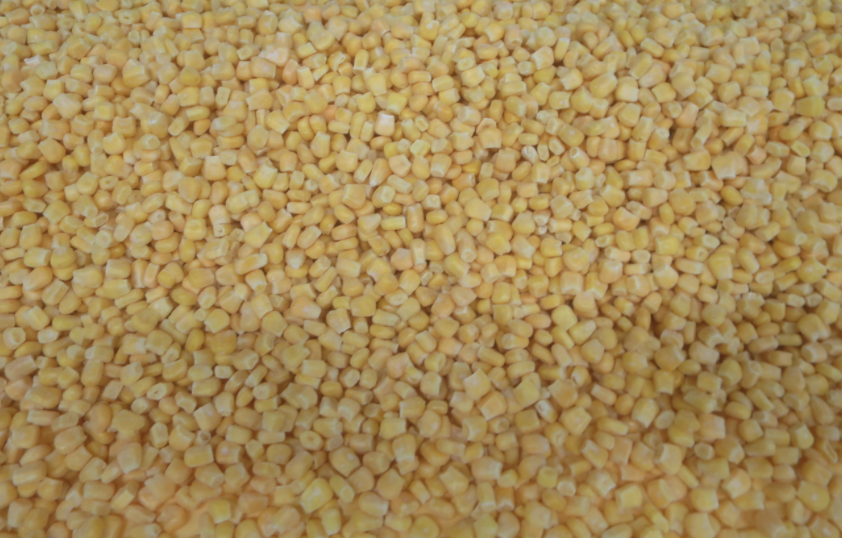 截屏2025-03-19 14.26.53.png