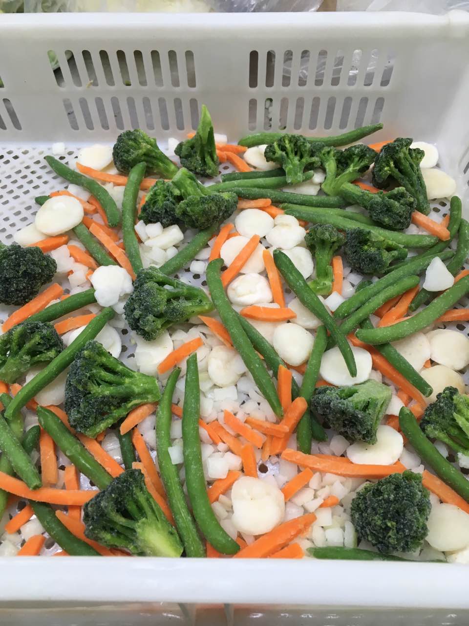 Oriental Blend -frozen.jpg