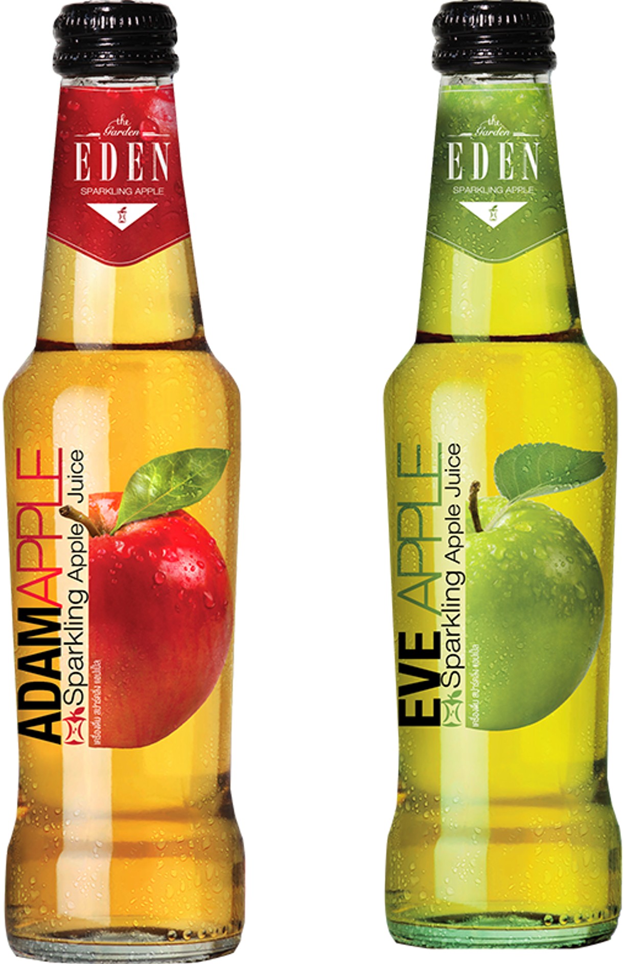 EDEN SPARKLING APPLE JUICE 45%