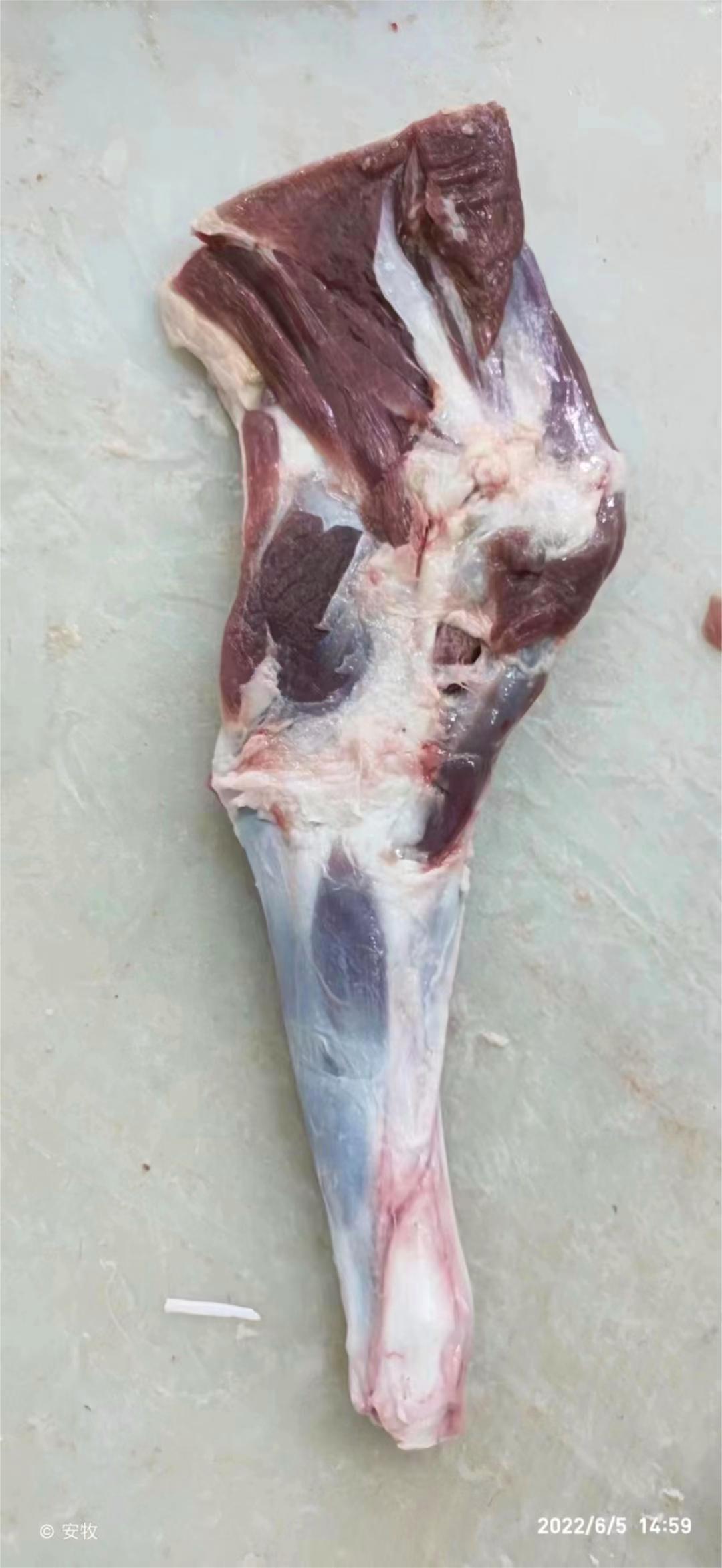 冷凍去骨羔羊腿帶臀肉