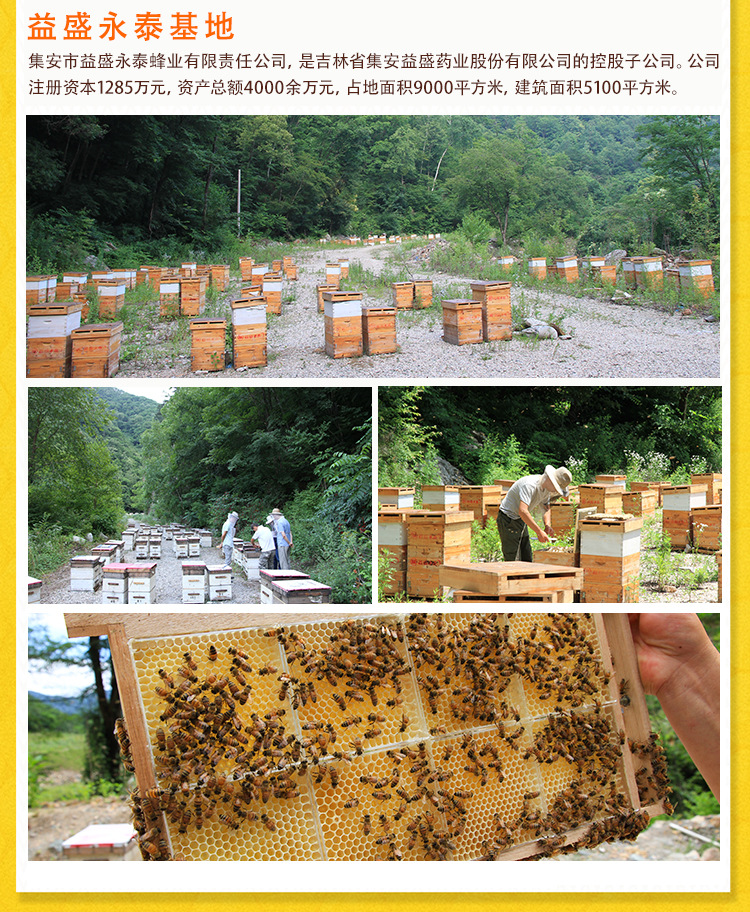 蜂胶单瓶- (12).jpg