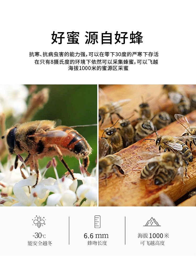 繽紛-袋蜜詳情頁_06.jpg