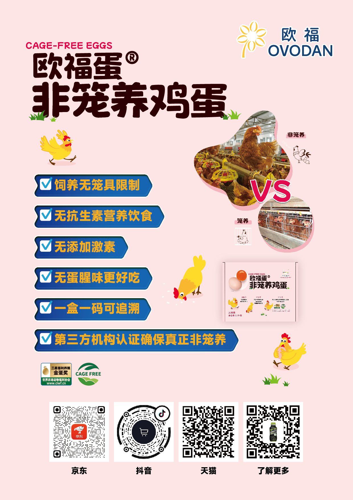 欧福非笼养鸡蛋