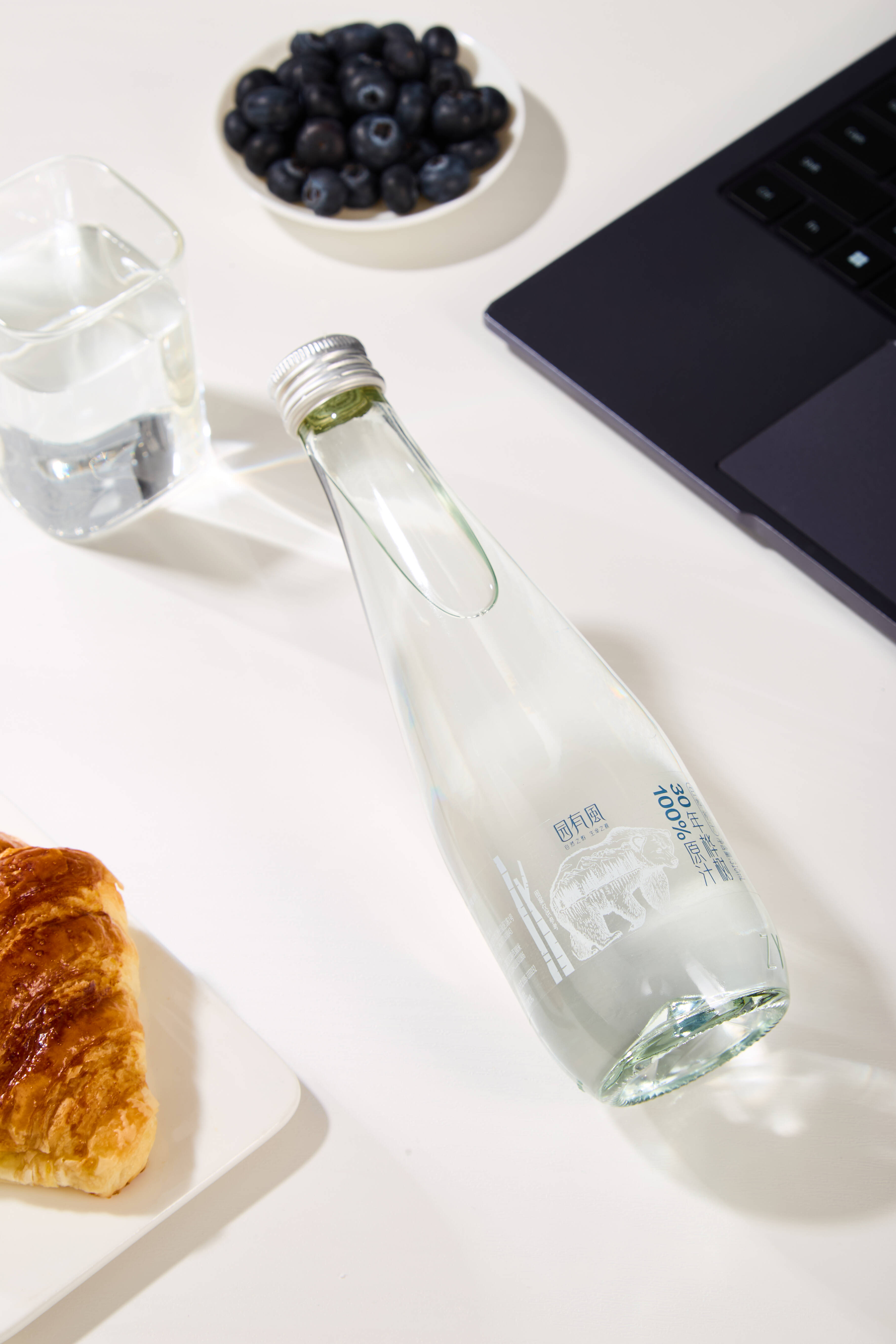 園有風(fēng)白樺樹(shù)汁貼標(biāo)玻璃瓶