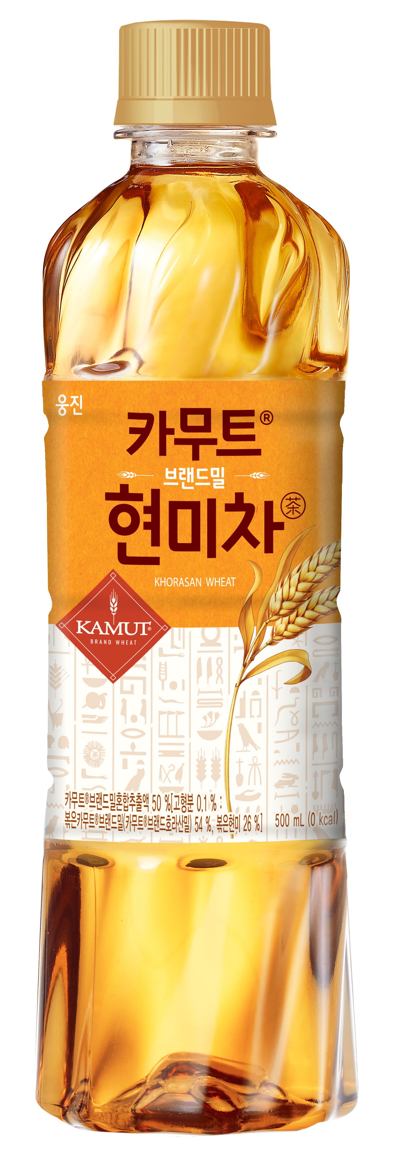 241218_?? ??? ???? ???_500?-min.jpg