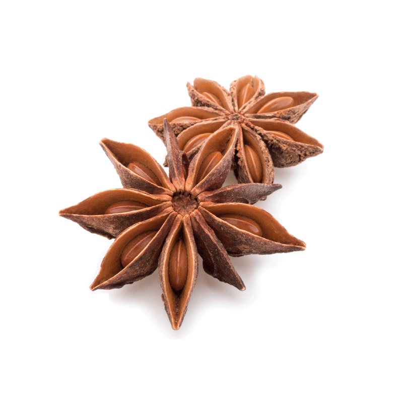 SA.png