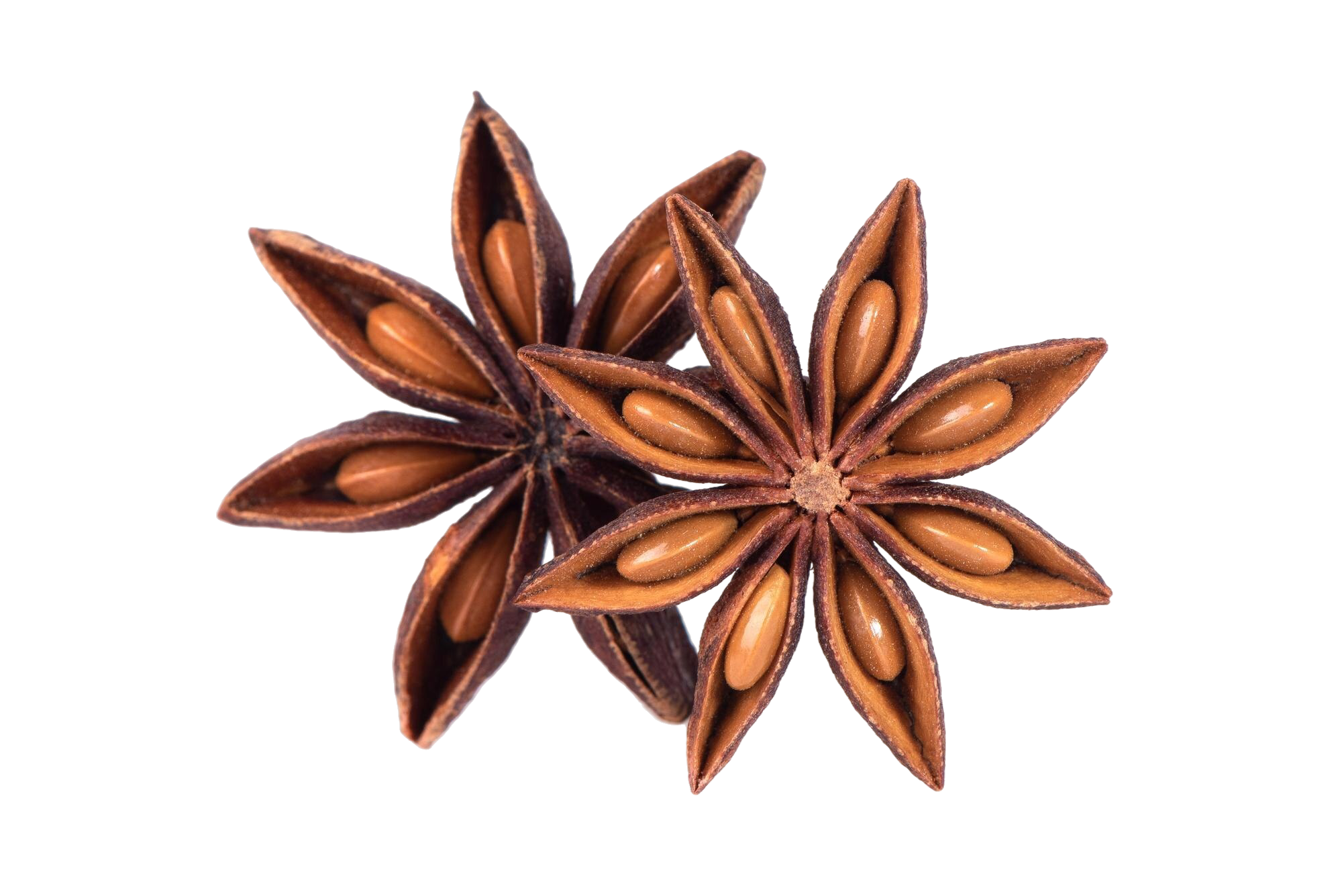 dry-star-anise-with-seeds-white-background-spoon-closeup-macro-shot-star-anise-spices.png