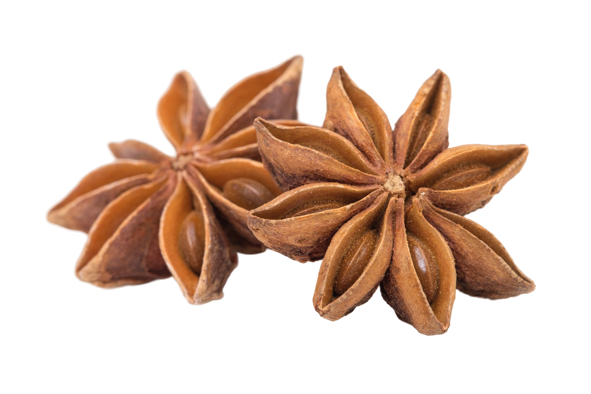 anise-stars.png
