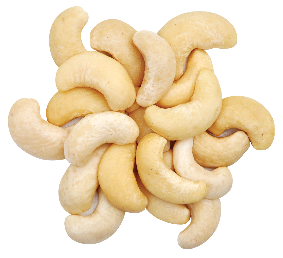 Cashew.png