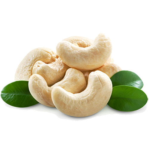 Cashew2.png