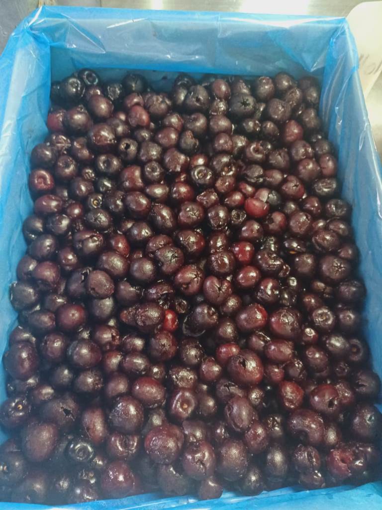 冷凍去核車厘子