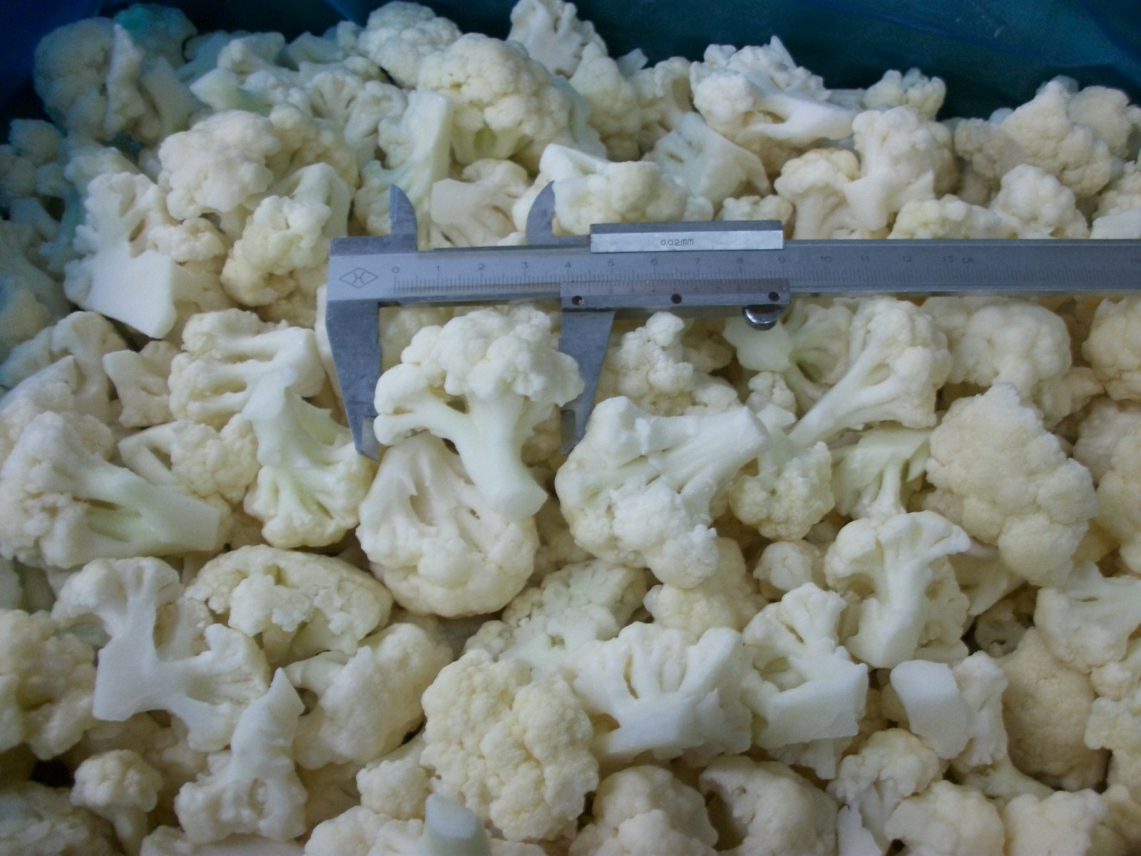 SAM-Cauliflower -01.jpg