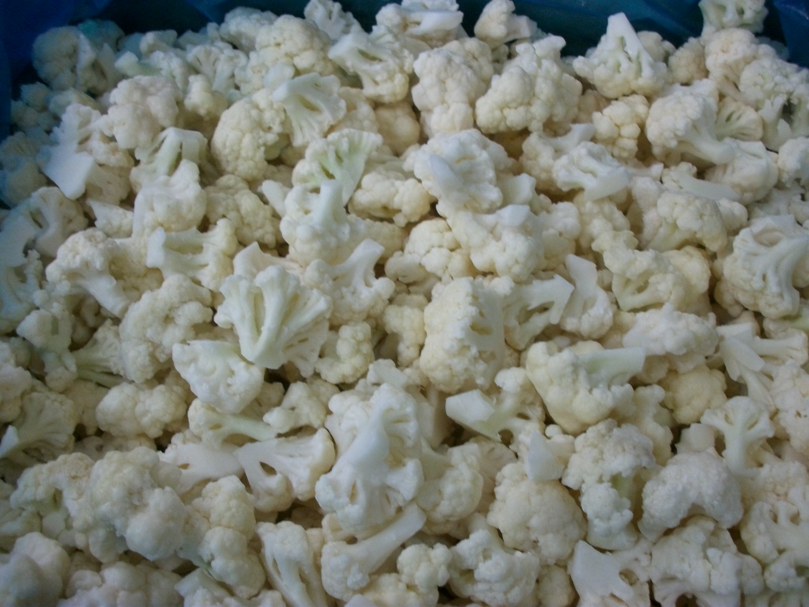 SAM-Cauliflower-02.jpg