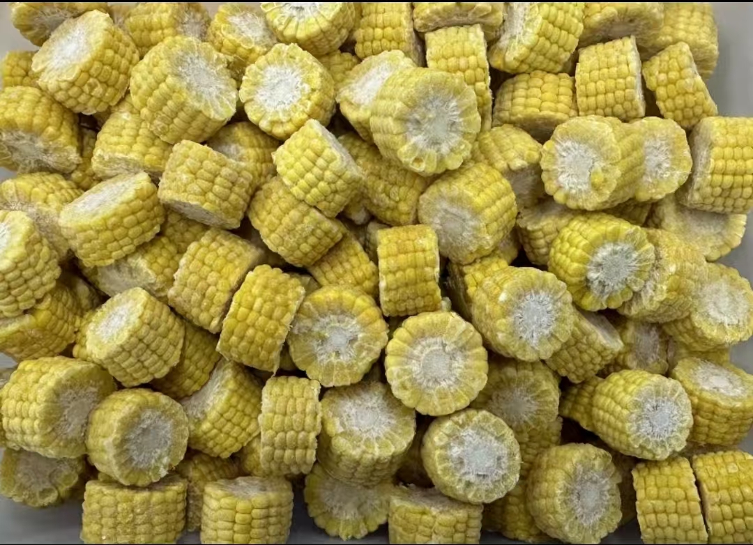 冷凍甜玉米段