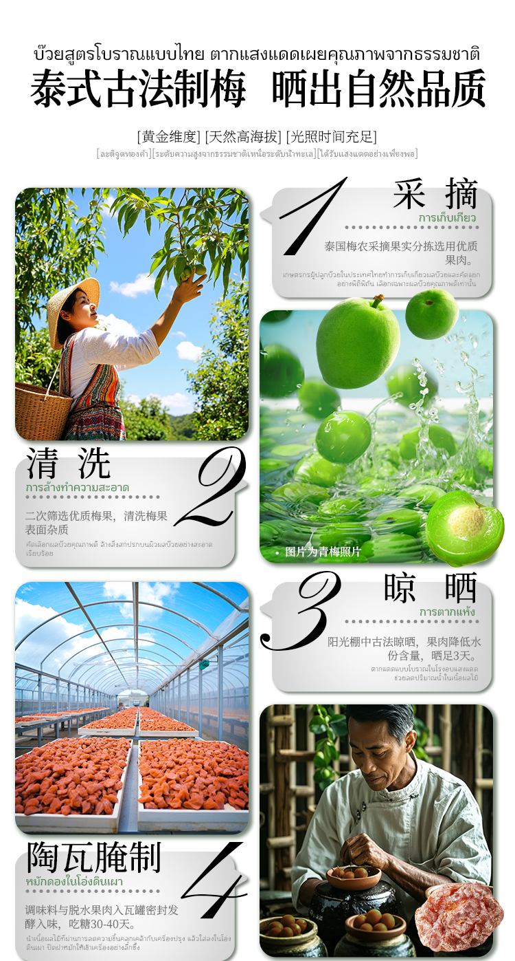 20250311-富吃品牌-線上-電商店鋪梅子系列詳情頁主圖設計_05.png