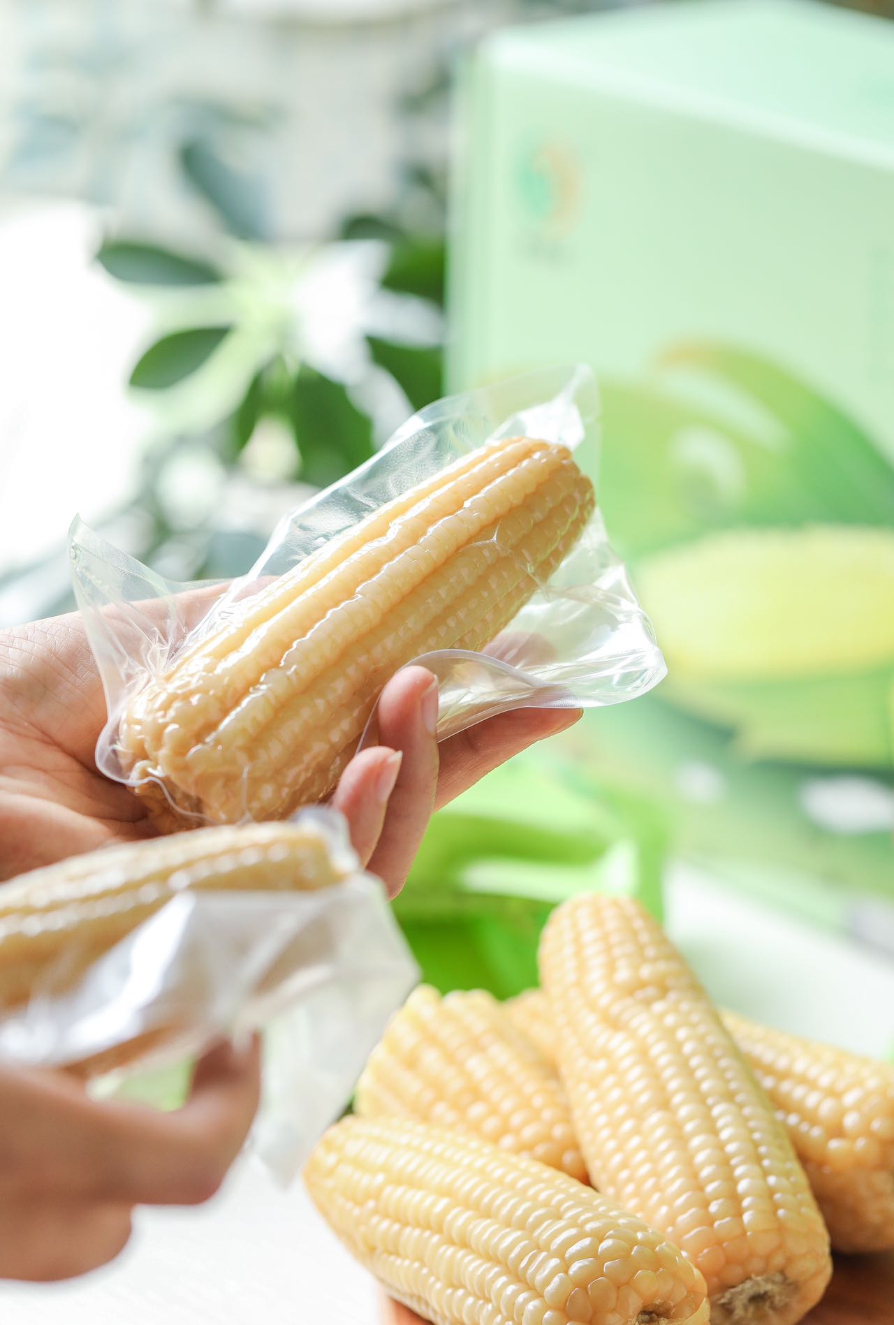 麥秀年娃娃玉米