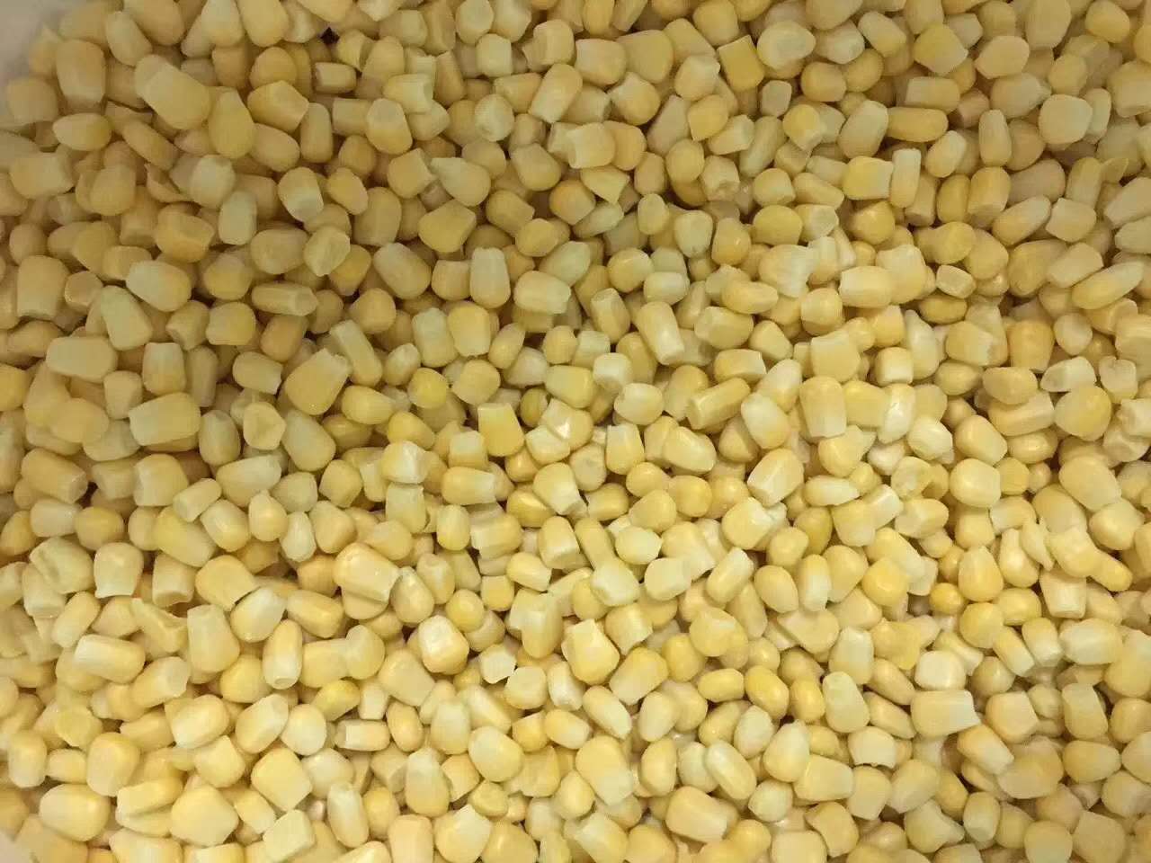 冷凍甜玉米