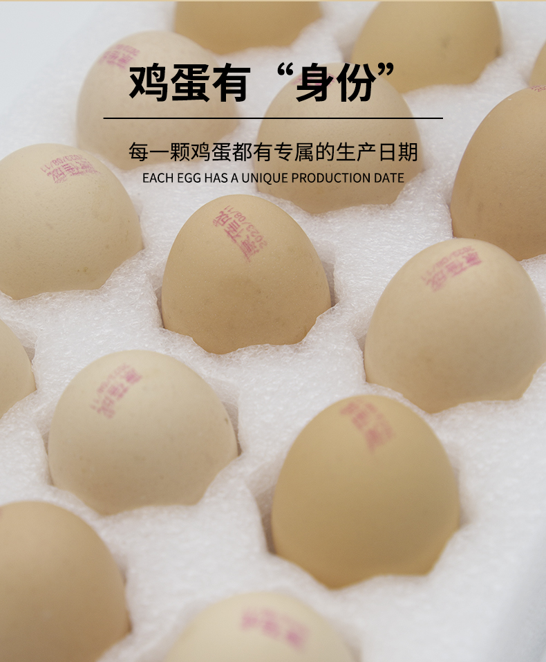 可生食雞蛋-30枚-_07.jpg