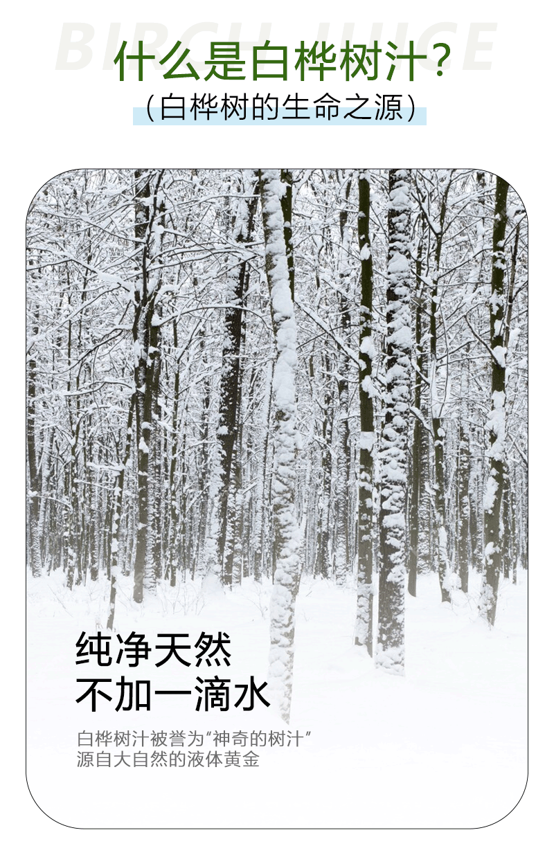 详情图-白桦树汁500ml_03.png