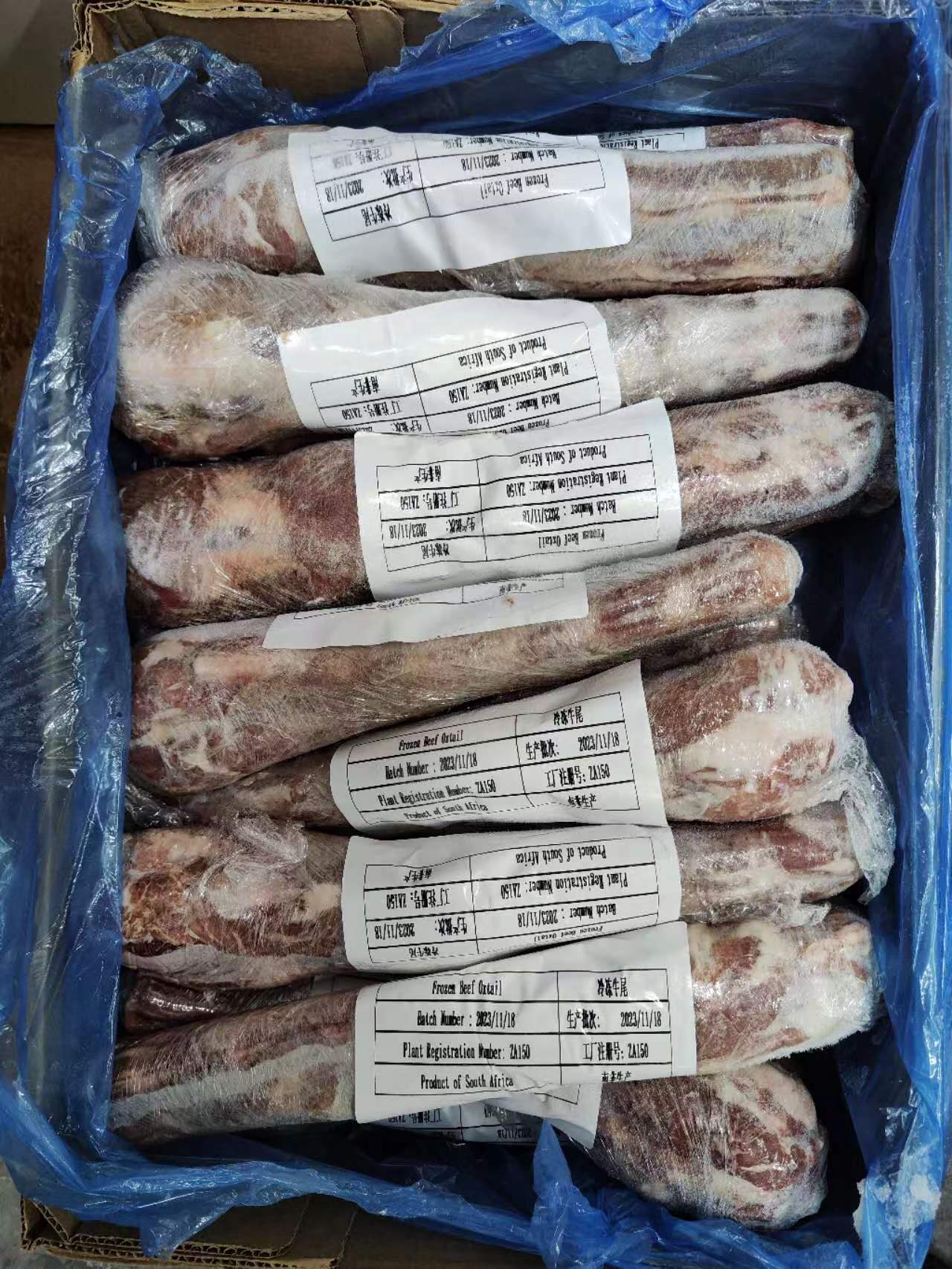 20240226牛尾 (3).jpg