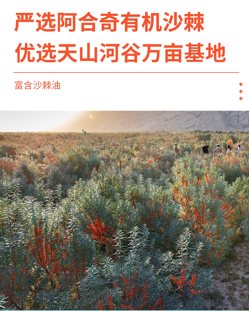 沙棘枸杞原浆详情页_05.jpg