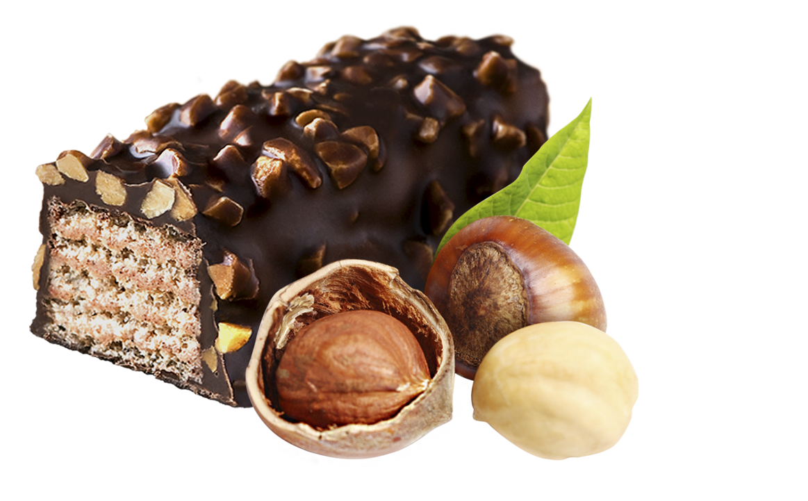 Лесной орех_1.png