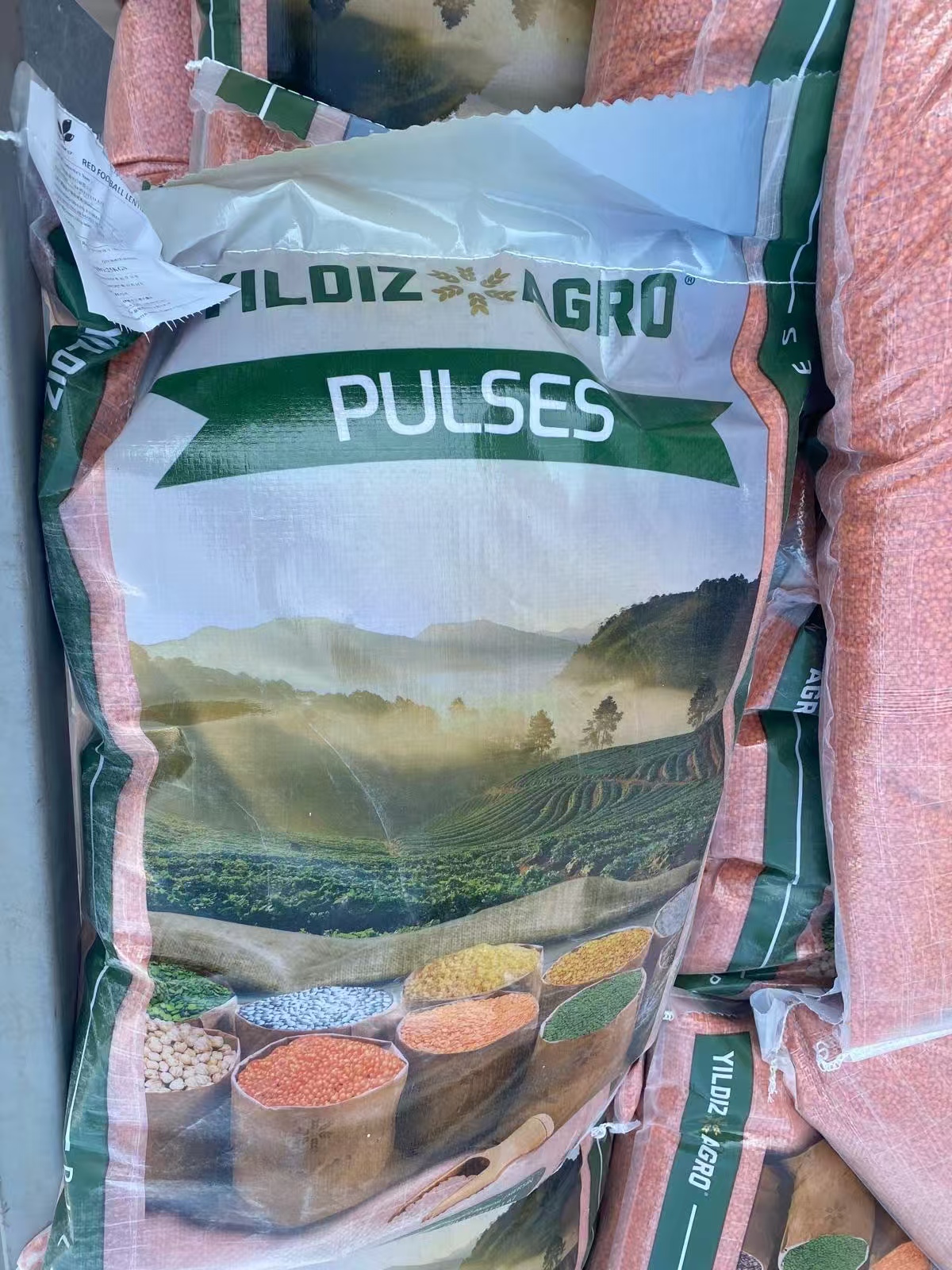 進(jìn)口紅扁豆