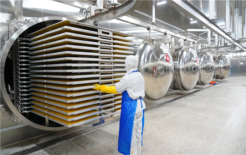 真空冷凍干燥成套設(shè)備