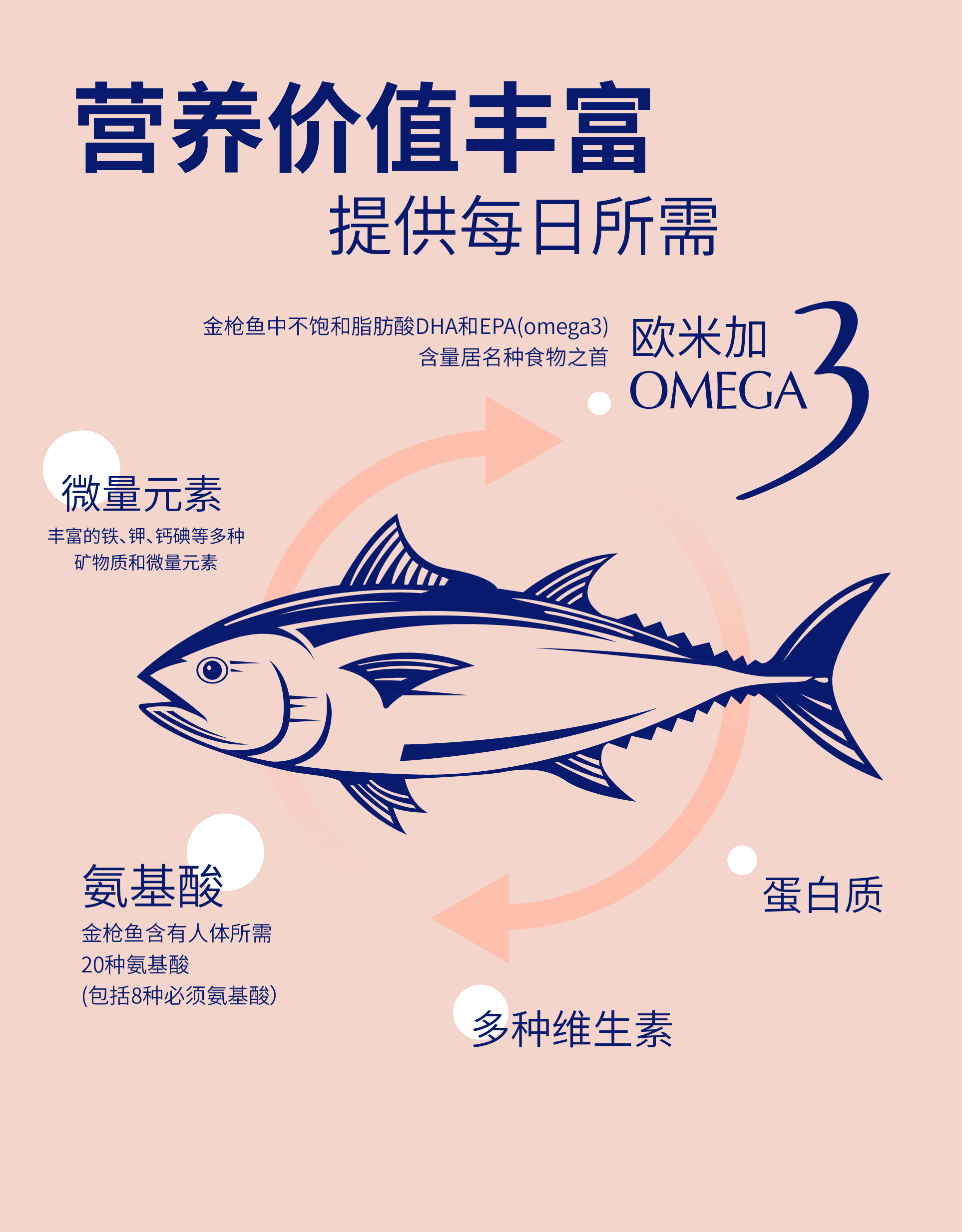 金槍魚罐頭-06.jpg