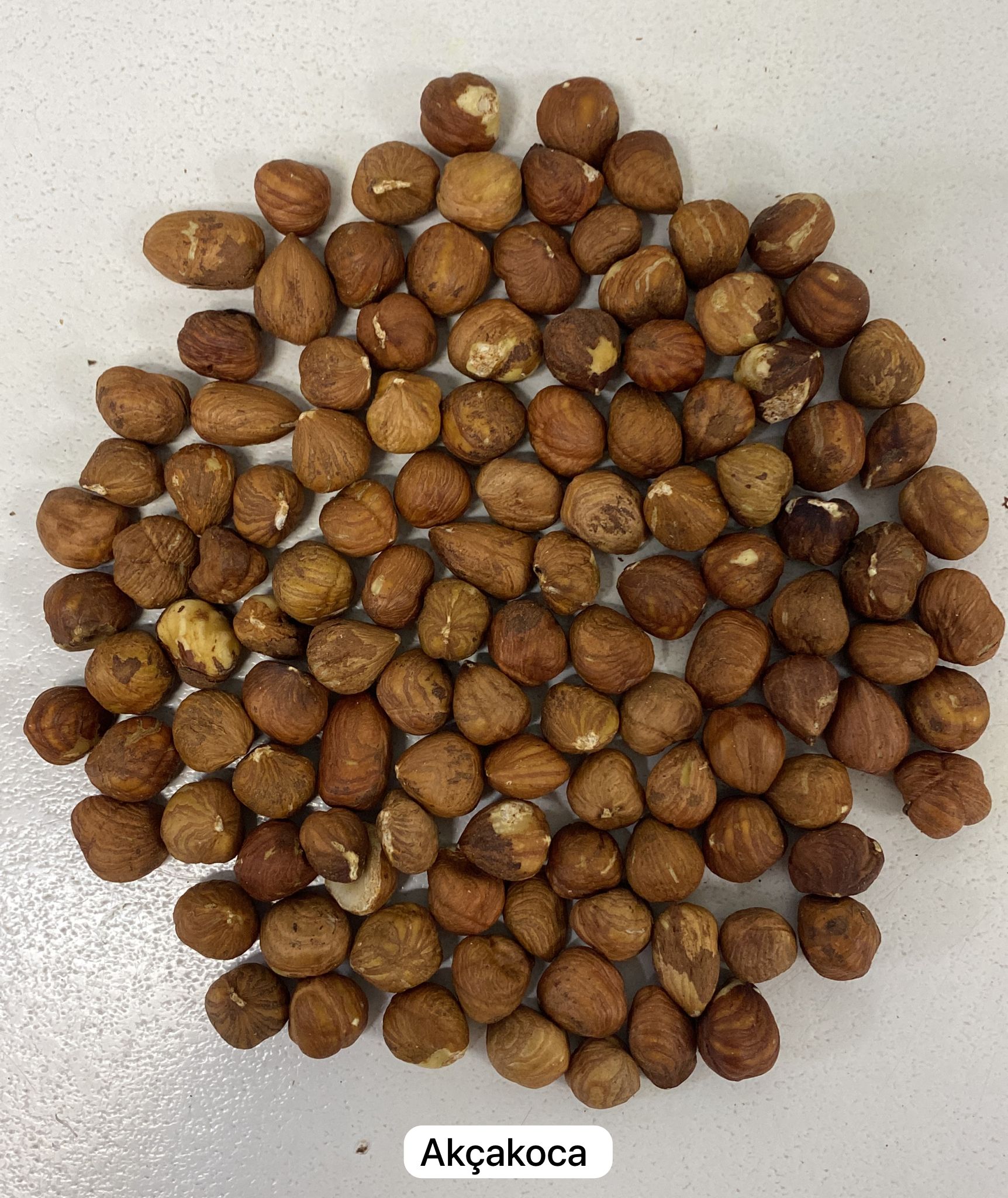Raw Hazelnuts