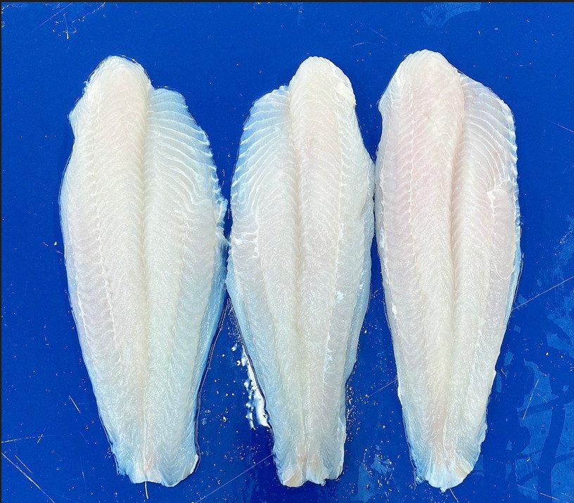 1.TBE PANGASIUS WELLTRIMMED 89% moisture.jpg