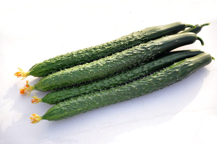 黃瓜