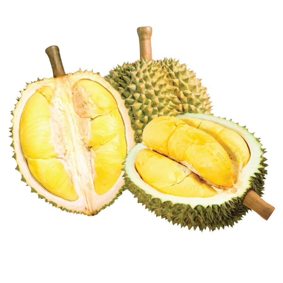 s?u tiêng MUsaking.jpg