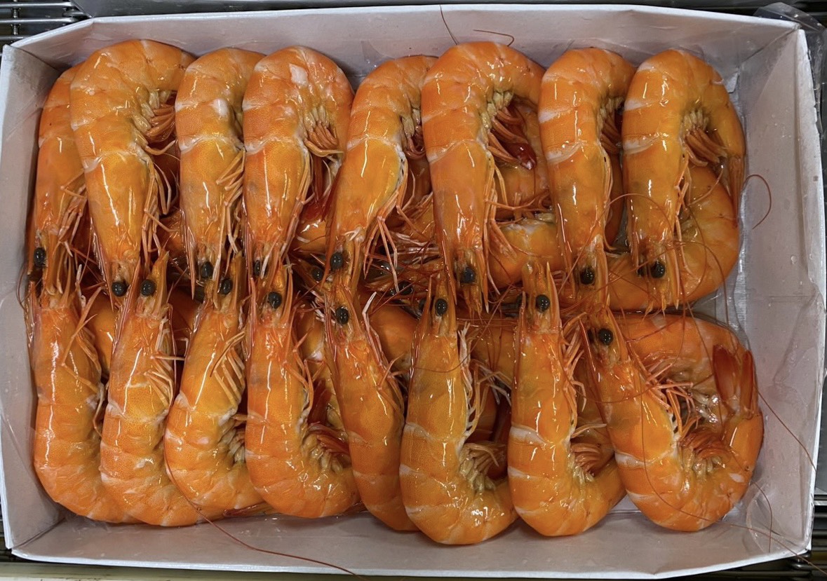 TBE.VAN CHOSO.SIZE 26-30.jpg