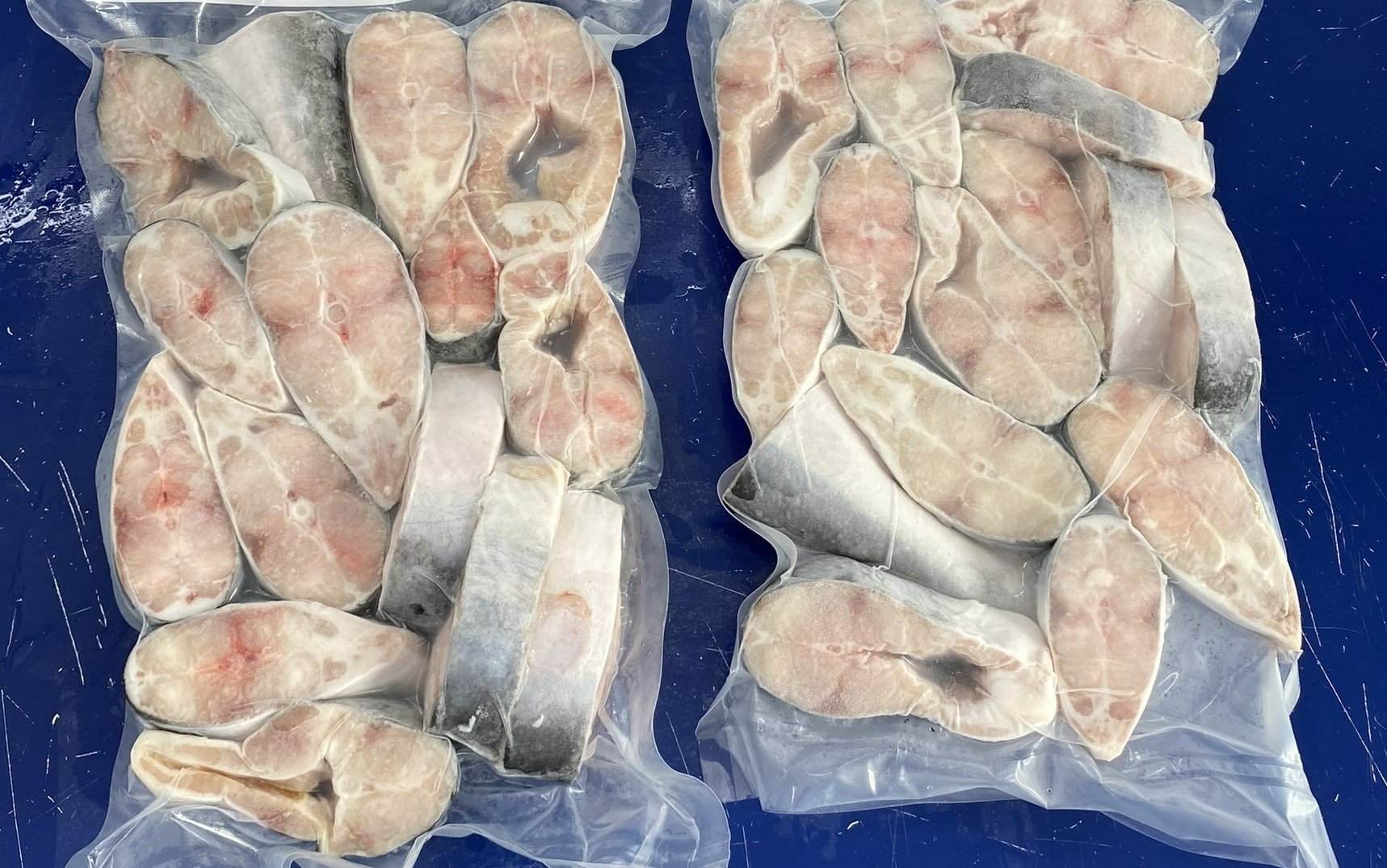 TBE.PANGA STEAK (3).jpg