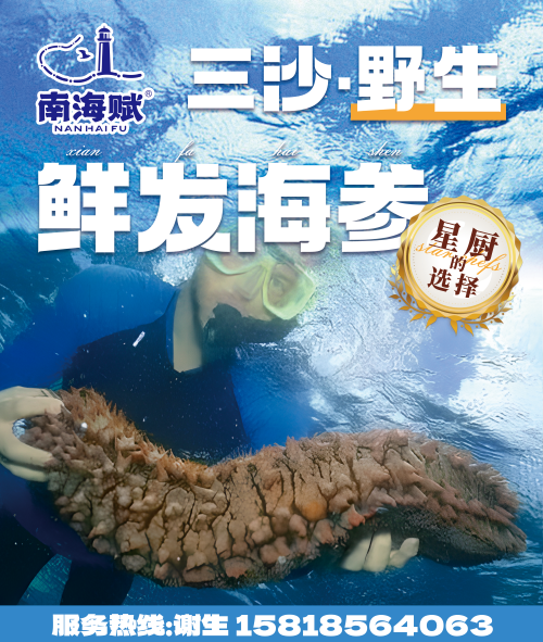 三沙野生鮮發(fā)海參、船凍二去海魚、珊瑚魚、海螺、墨魚魷魚等海產(chǎn)品