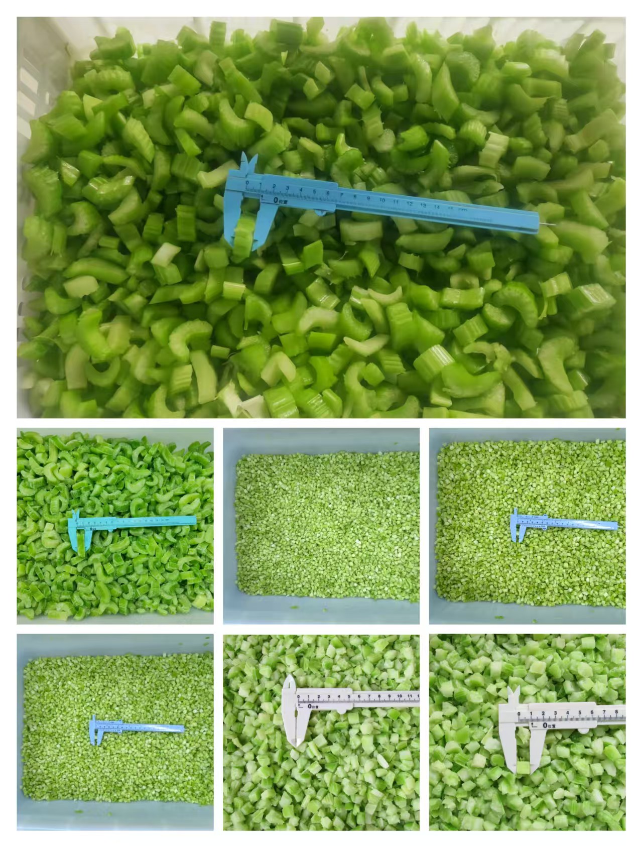 冷凍西芹丁/西芹絲