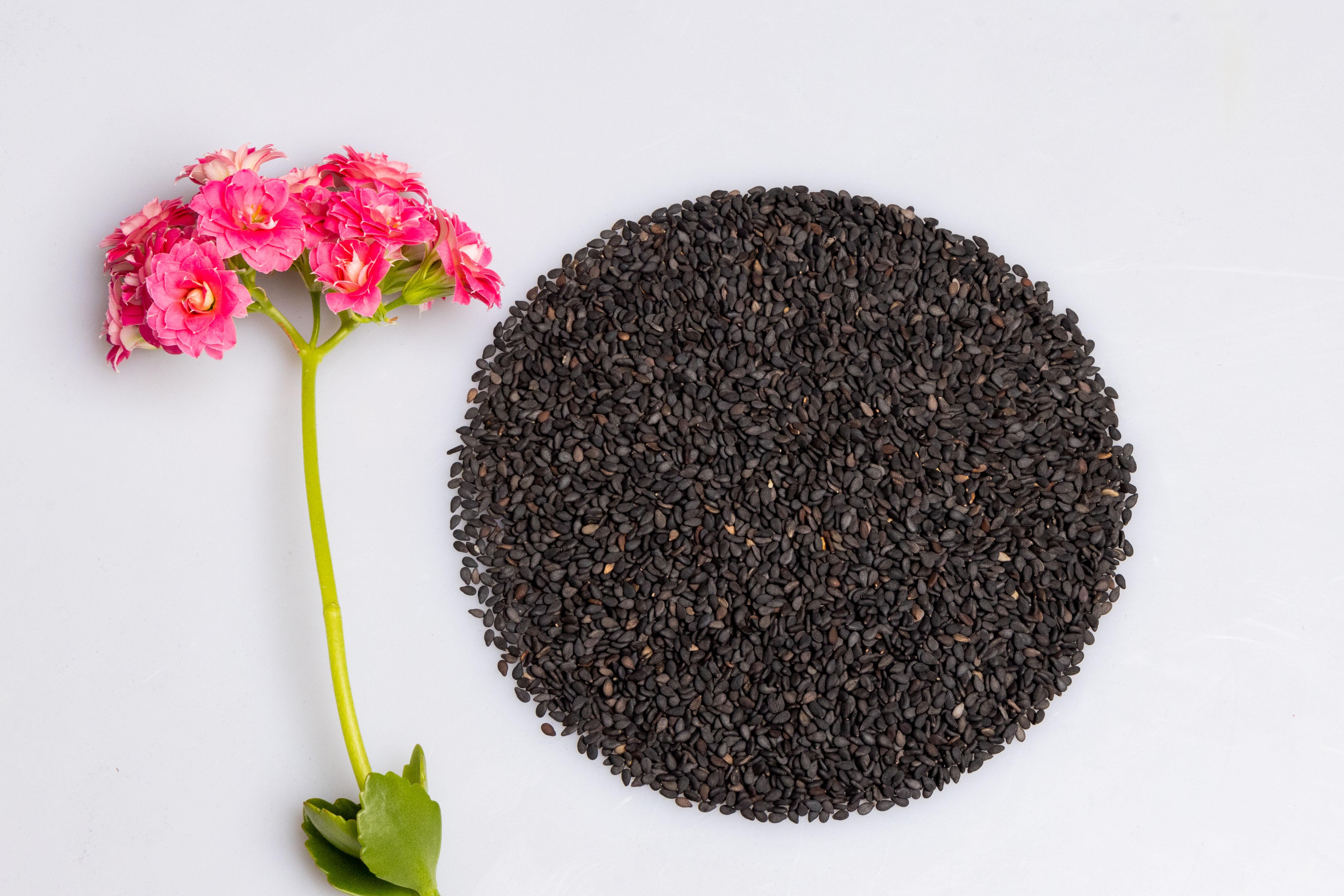 Roasted Black Sesame