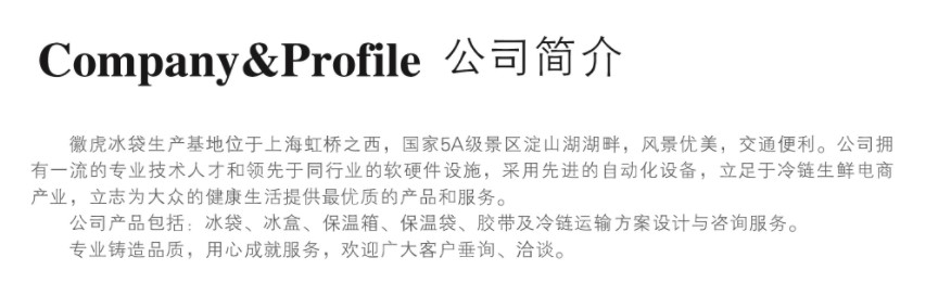 冰袋 冰盒 保溫袋 保溫箱 外賣袋