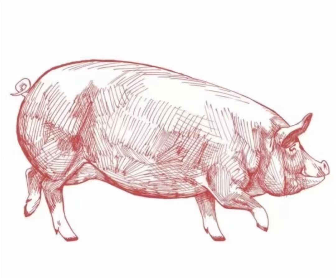 新勢國際貿(mào)易有限公司