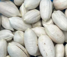 杭州臨安昌茜新天地食品有限公司